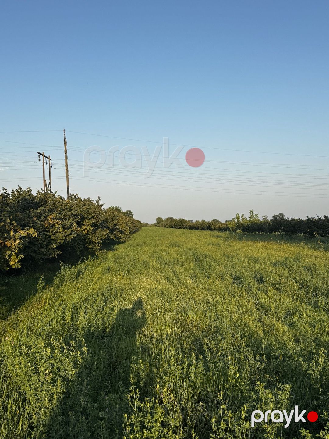 Satılır torpaq 237.3 sot — Torpaq, Xudat (2)