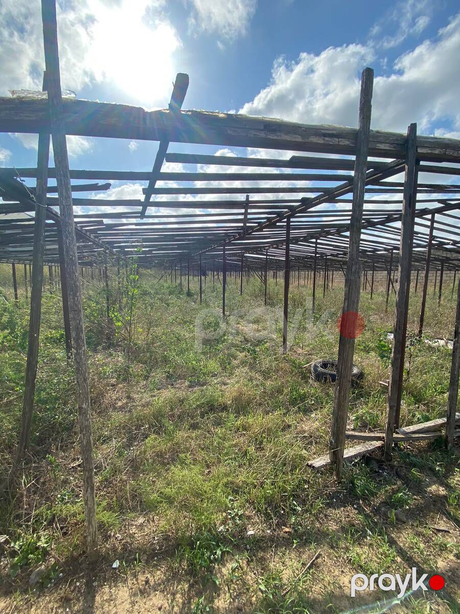 Satılır torpaq 20 sot — Torpaq, Bakı (2)