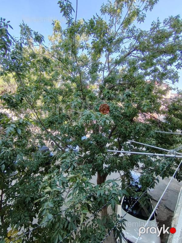 Satılır 2 otaqlı Bina evi menzil (Köhnə tikili), 56 m², 5-ci mikrorayon — Mənzil, Sumqayıt (2)