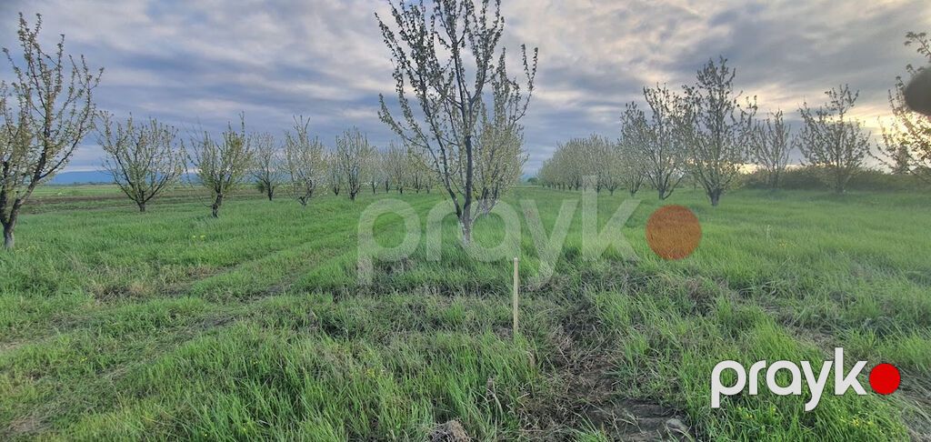 235 sot, Kənd təsərrüfatı, Mülkiyyətçi, Kupça (Çıxarış), Texniki pasport — Torpaq, Xaçmaz (2)