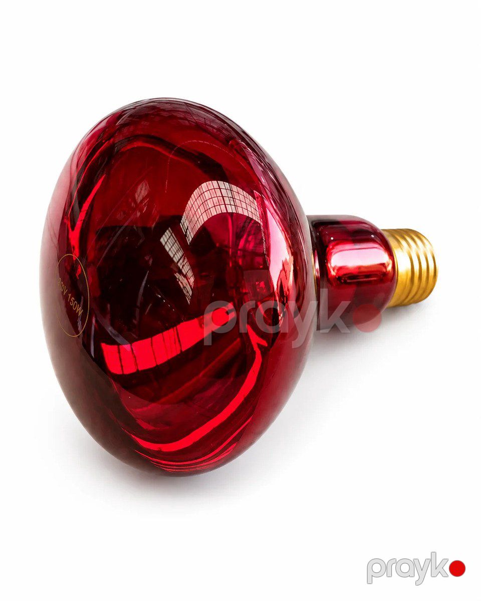 İnfraqırmızı Lampa 100W İlməzli R80 — İşıqlandırma, Bakı (3)