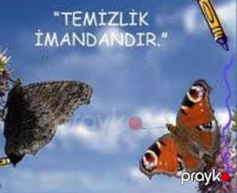 Salam.Evlere təmizliyə gedirem qiymet razılaşma yolu ilə isimde çox — Bakı