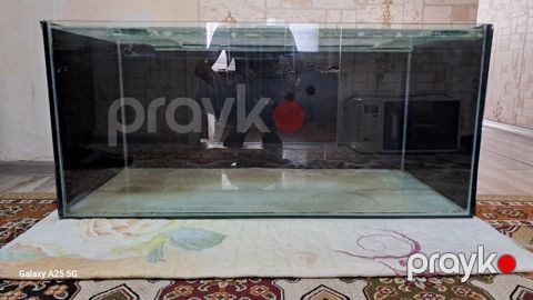 Akvarium — Bakı