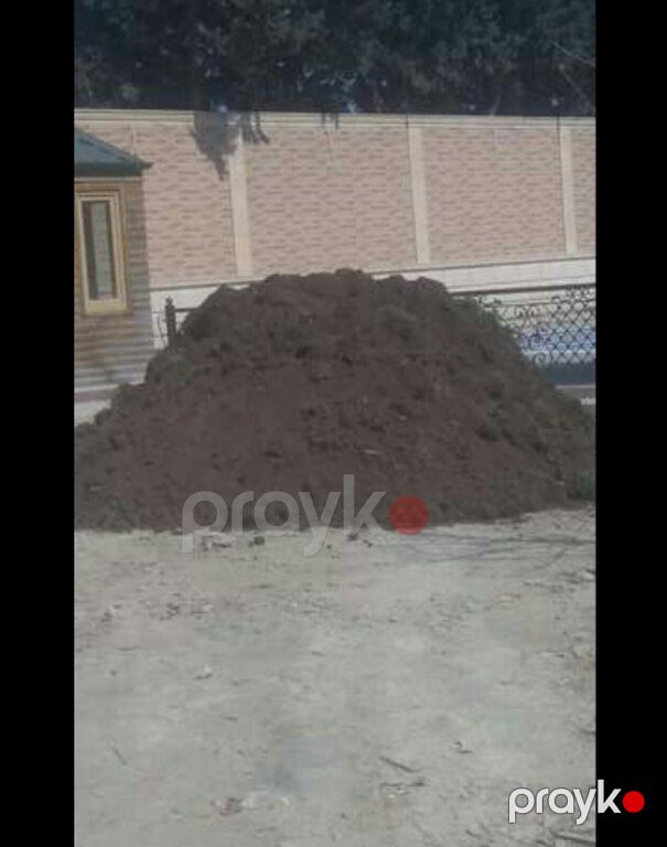 Qara torpaq, peyin — Dacha və bağ, Bakı (2)