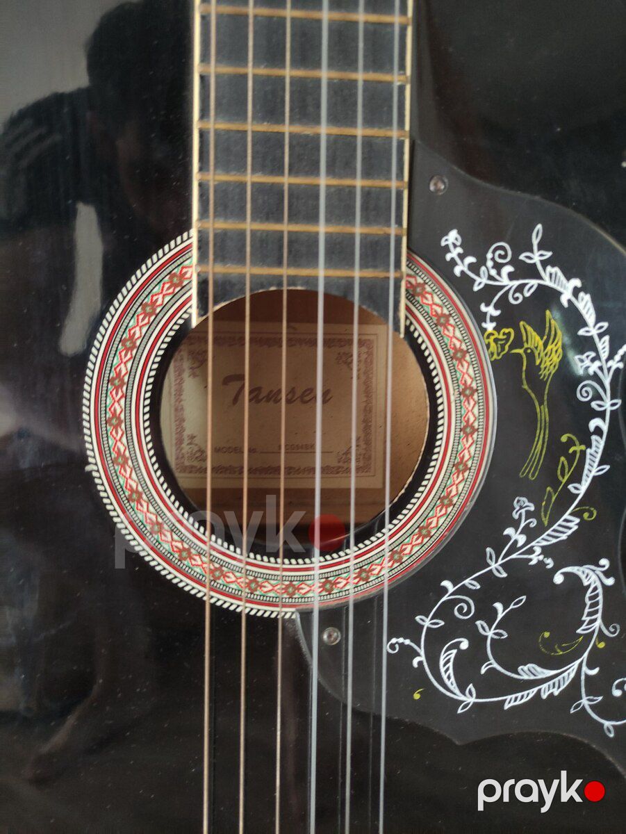 Klassik gitara — Musiqiə alətləri, Bakı (2)