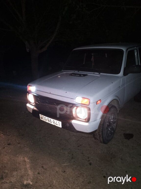Lada (VAZ) Niva, 1.6 L, 1994 il, 452 314 km — Avtomobillər, İmişli (3)