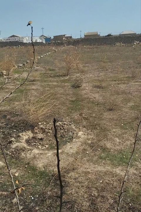 19 sot, Bələdiyyə — Digah