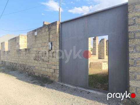 8 sot, Tikinti, Kupça (Çıxarış) — Gəncə