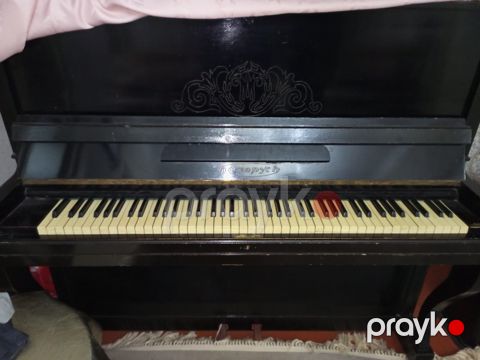 Piano Belarus — Salyan