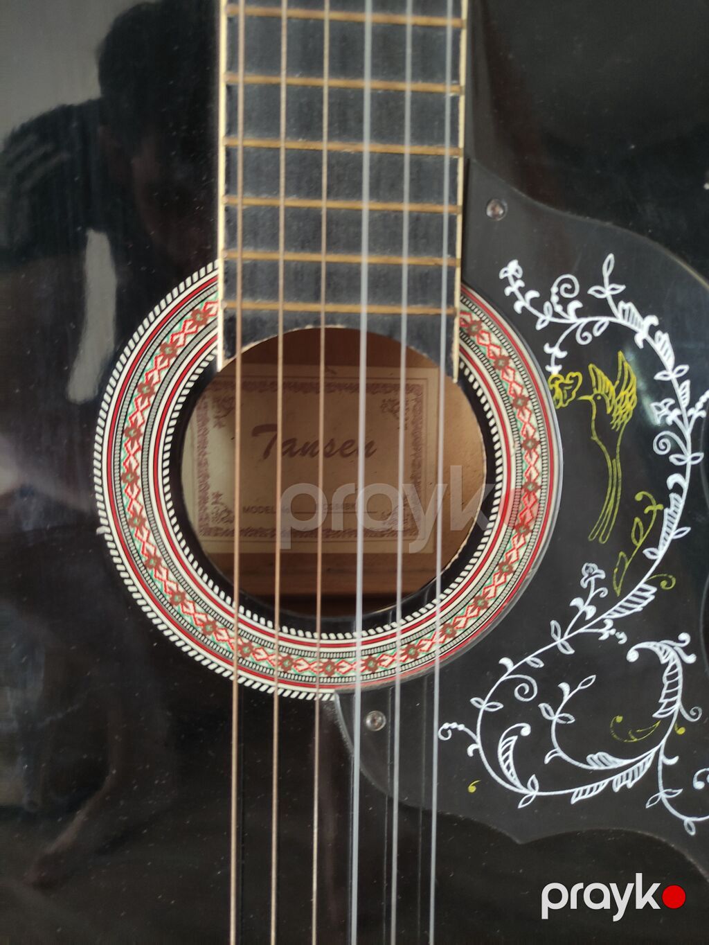 Hər şeyi tan işləkdir bircə bir kökün krişkasından başqa. O da — Gitarlar və digər simli alətlər, Bakı (2)