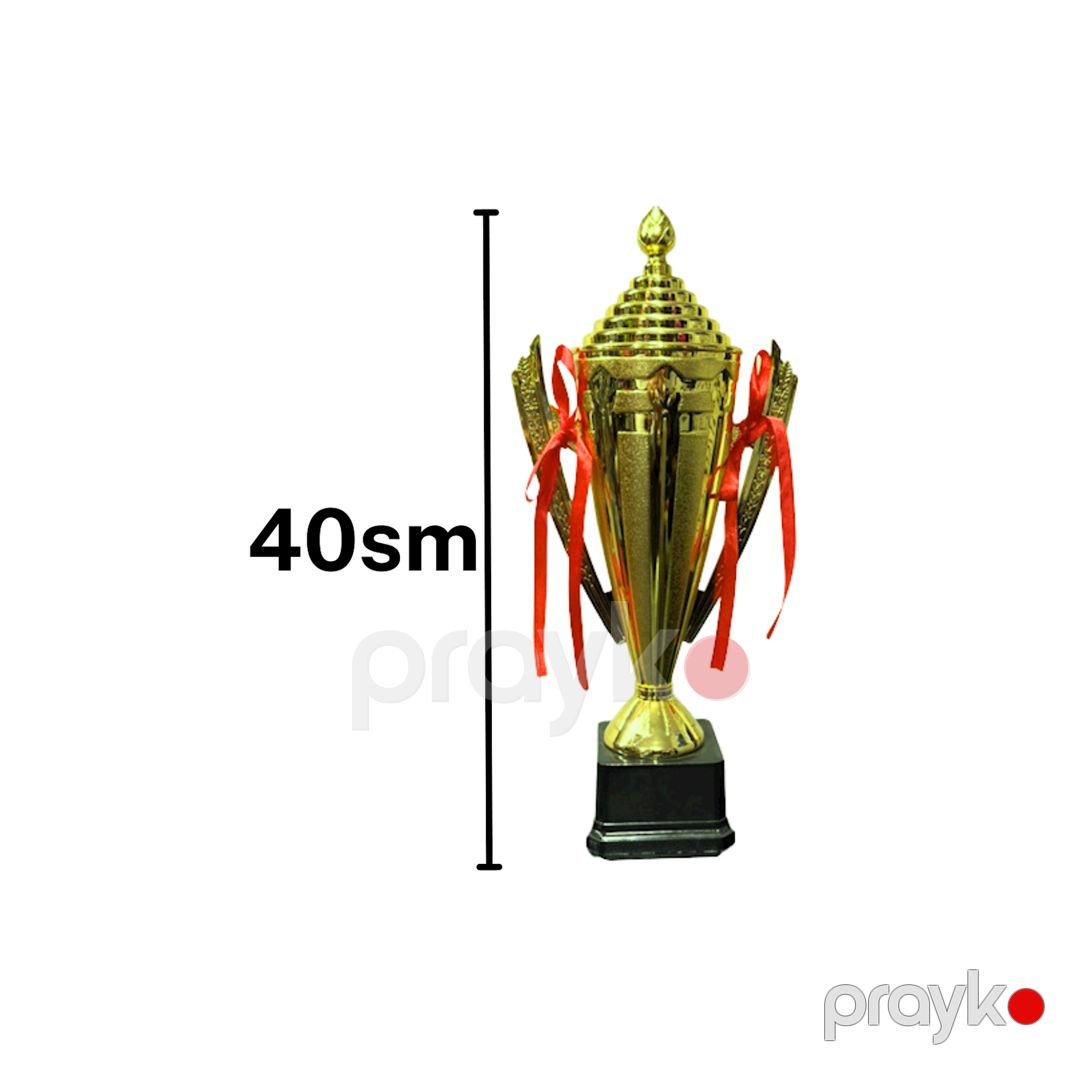 Kubok CN CUP 1608, plastik, qızılı, 40 sm — Mallar, Bakı (2)