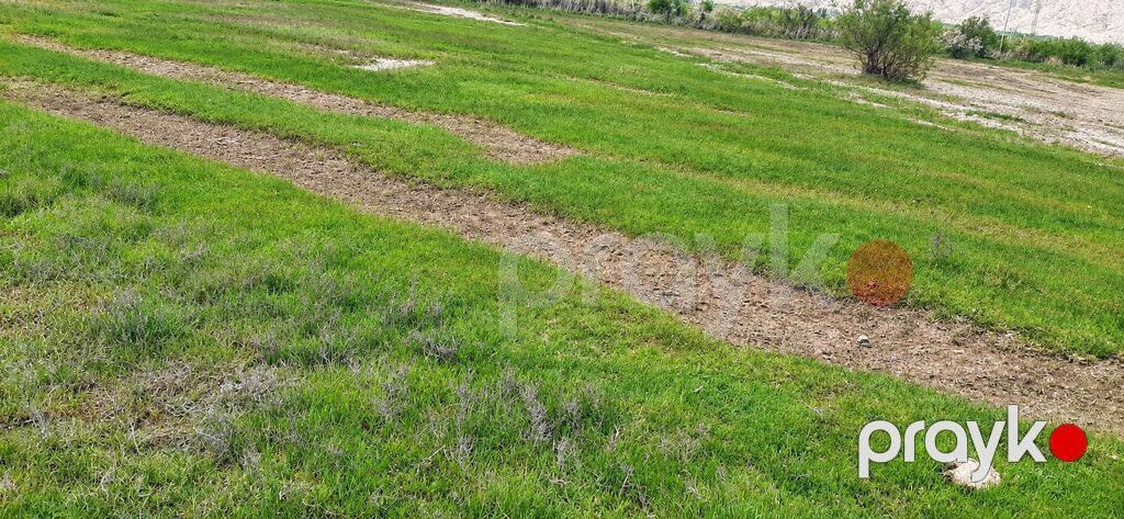 6 sot torpaq satılır (cəmi 5400azn), Mingəçevir, Üçxoz qəsəbəsi — Torpaq, Mingəçevir (2)