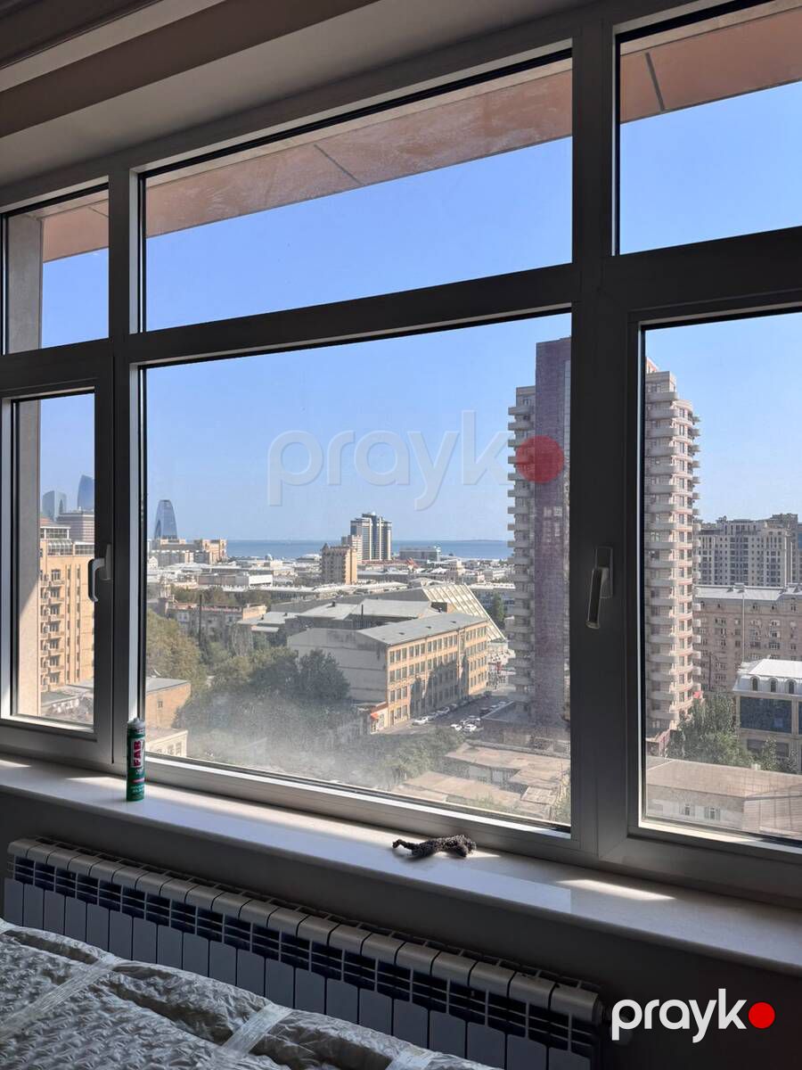 Satılır 5 otaqlı yeni tikili 296 m² — Mənzil, Bakı (4)