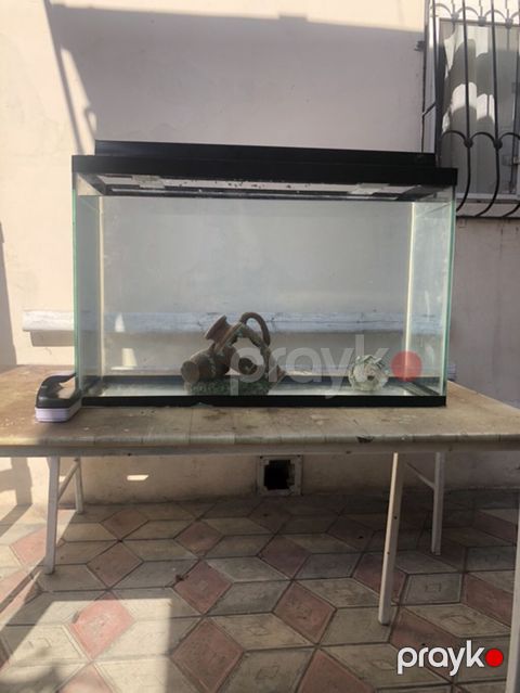 Dördbucaq akvarium, Boş, 110 l — Bakı