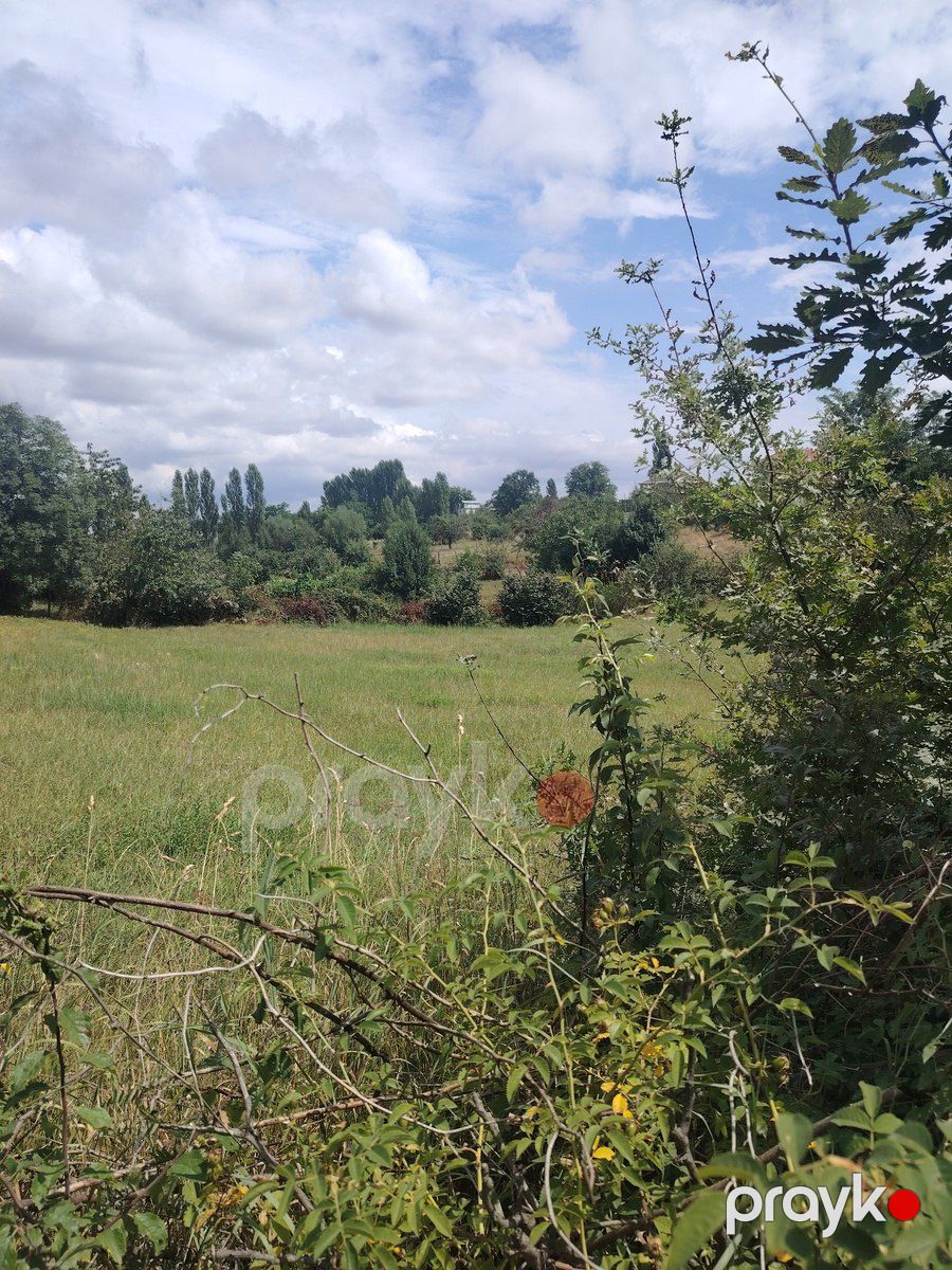 Satılır torpaq 12 sot — Torpaq, Qusar (6)