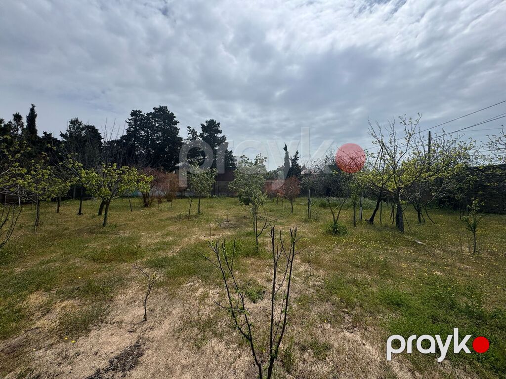 Satılır torpaq 23 sot — Torpaq, Bakı (6)