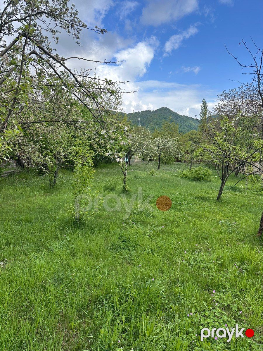 14 sot torpaq sahəsi, İsmayıllı r — Torpaq, İsmayıllı (4)
