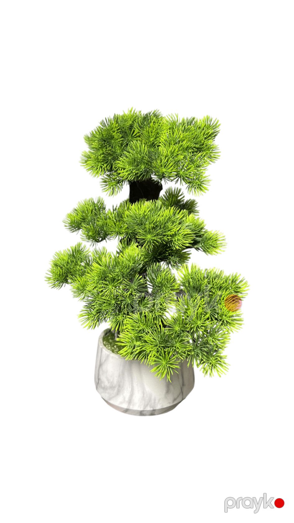 Süni bitki 7462, yaşıl, plastik — Mallar, Bakı (3)