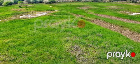 6 sot torpaq satılır (cəmi 5400azn), Mingəçevir, Üçxoz qəsəbəsi — Mingəçevir
