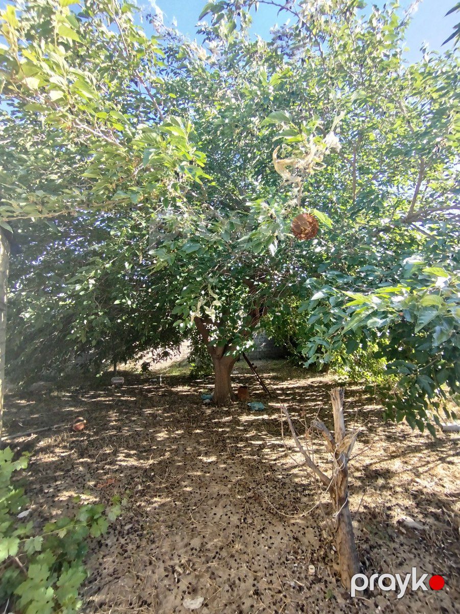 Satılır 8 otaqlı həyət evi/bağ evi 100 m² — Ev, villa, Bakı (8)