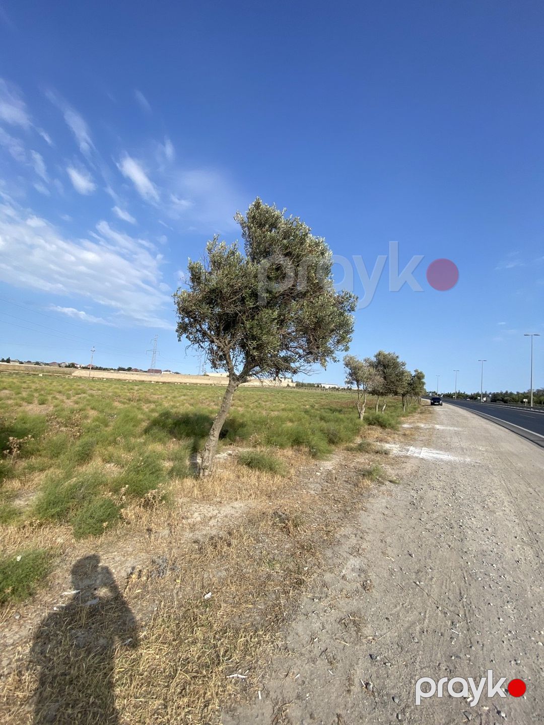Satılır torpaq 33 sot — Torpaq, Bakı (2)
