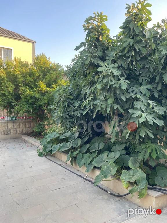 Həyət evi, Binəqədi qəs — Ev, villa, Bakı (9)