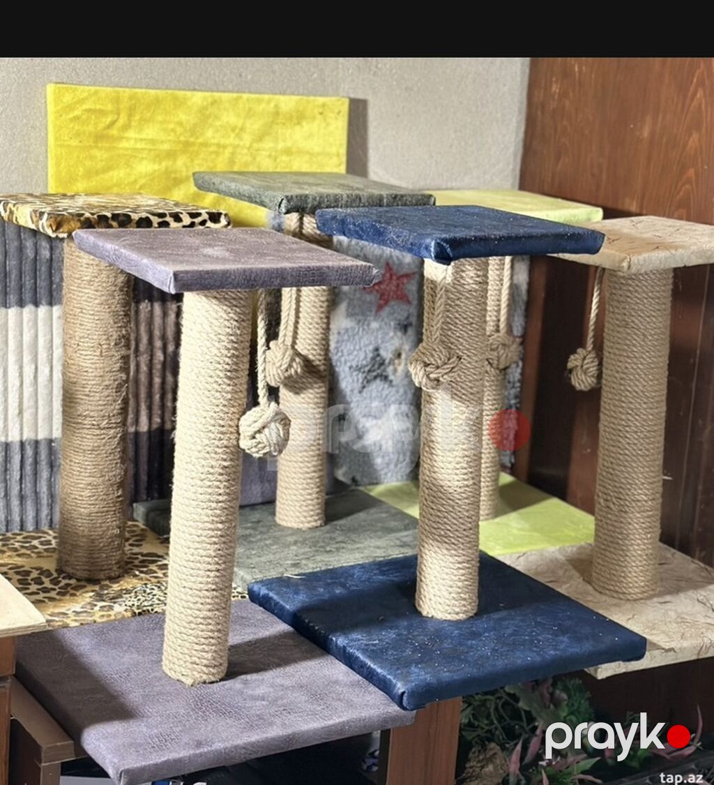 Salam, hər cür model pişiklər üçün dırnaq itiliyənlər düzəldirik — Digər, Bakı (3)