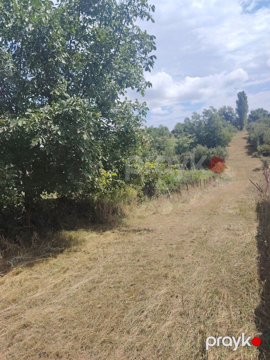 Satılır torpaq 12 sot — Torpaq, Qusar (4)