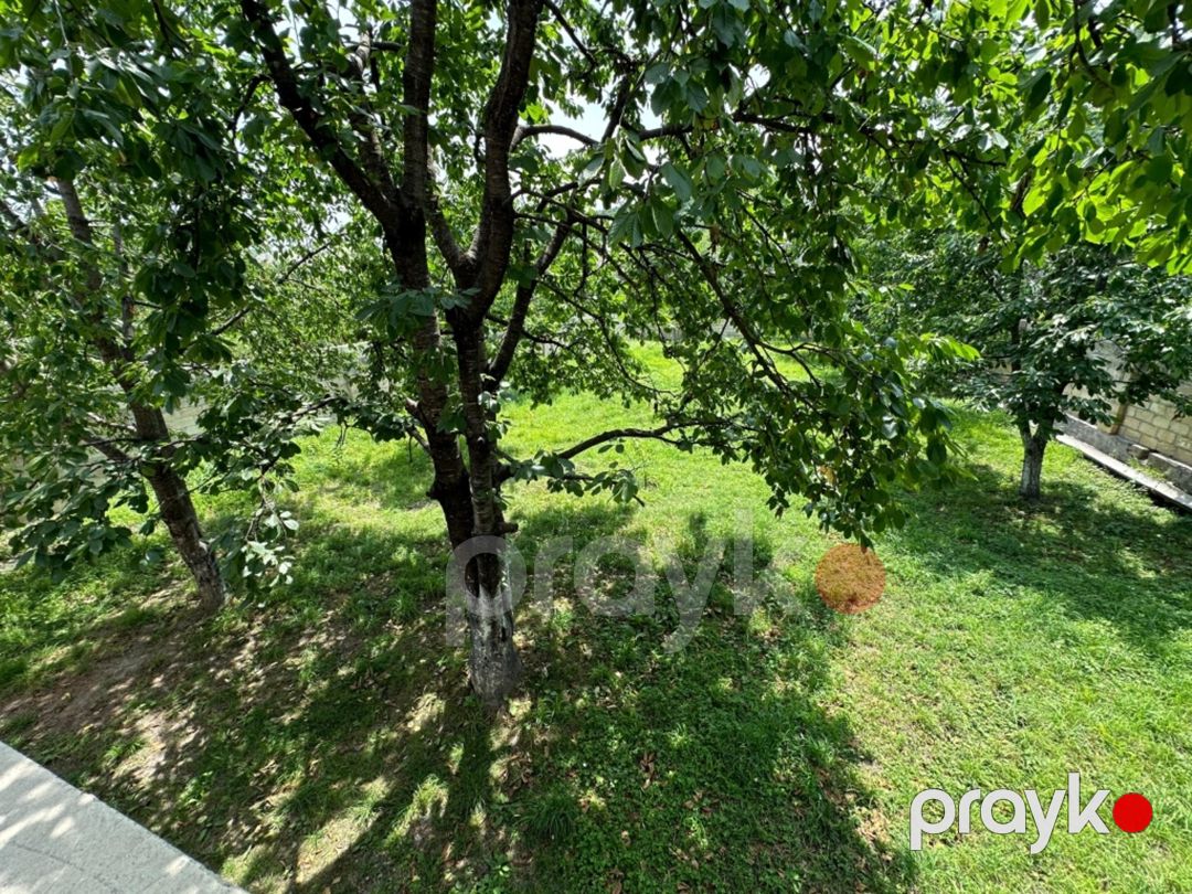 Bağ evi kirayə verilir, Quba r — Ev, villa, Quba (4)