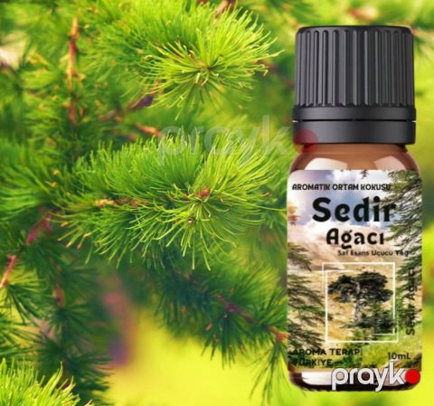 Sidr ağacı, yağı, 10 ml — Bakı
