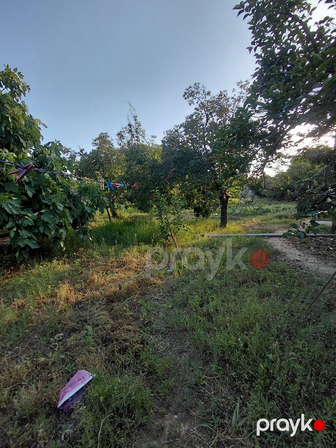 Satılır 5 otaqlı həyət evi/bağ evi 200 m² — Ev, villa, Bakı (5)