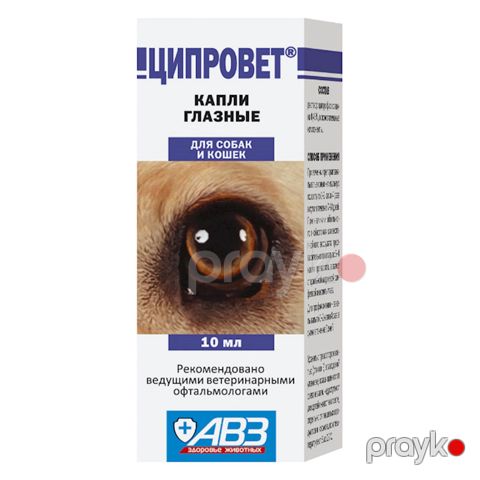 Göz damcıları Ciprovet itlər və pişiklır üçün 10 ml — Bakı
