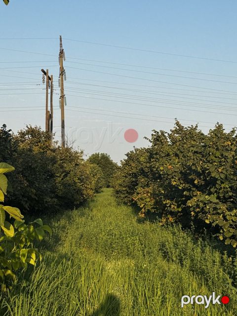 Satılır torpaq 237.3 sot — Xudat