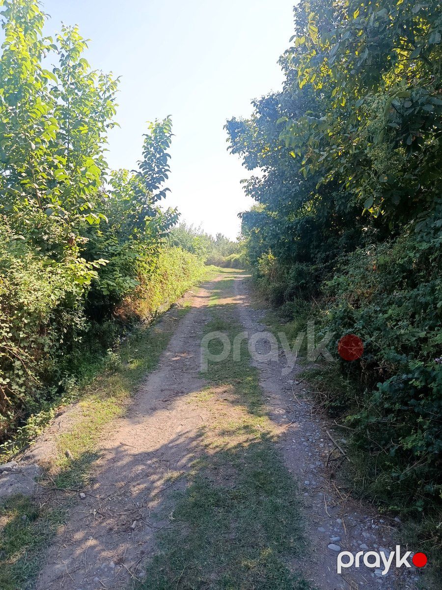 181 sot torpaq sahəsi, Göyçay r — Torpaq, Göyçay (2)
