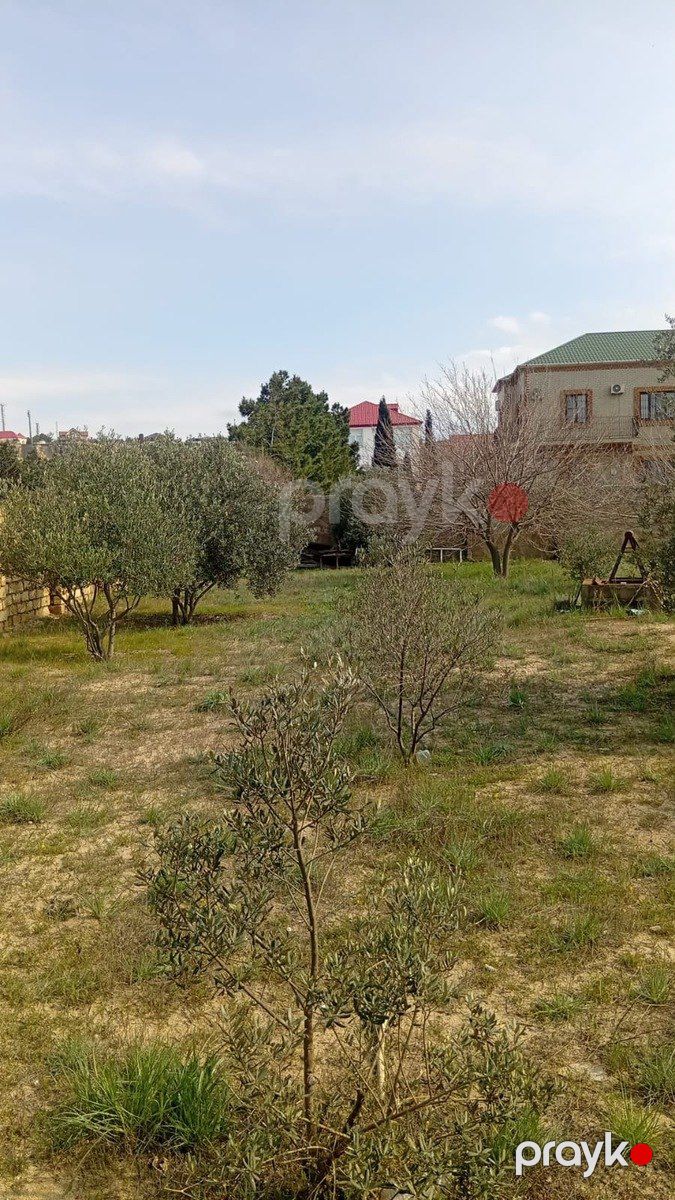 Satılır torpaq 20 sot — Torpaq, Bakı (2)