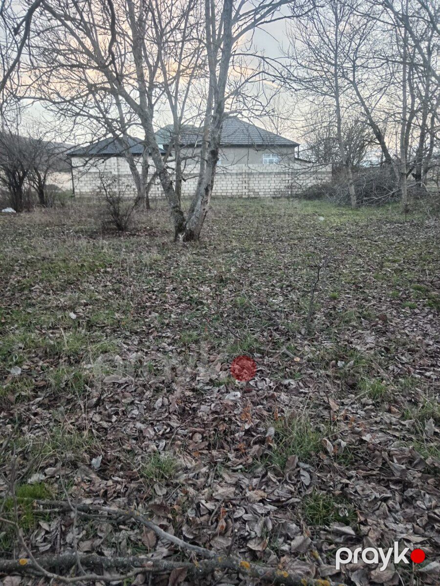 9 sot torpaq sahəsi, Quba r — Torpaq, Quba (4)