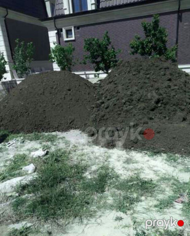 Qara torpaq, peyin — Dacha və bağ, Bakı (3)