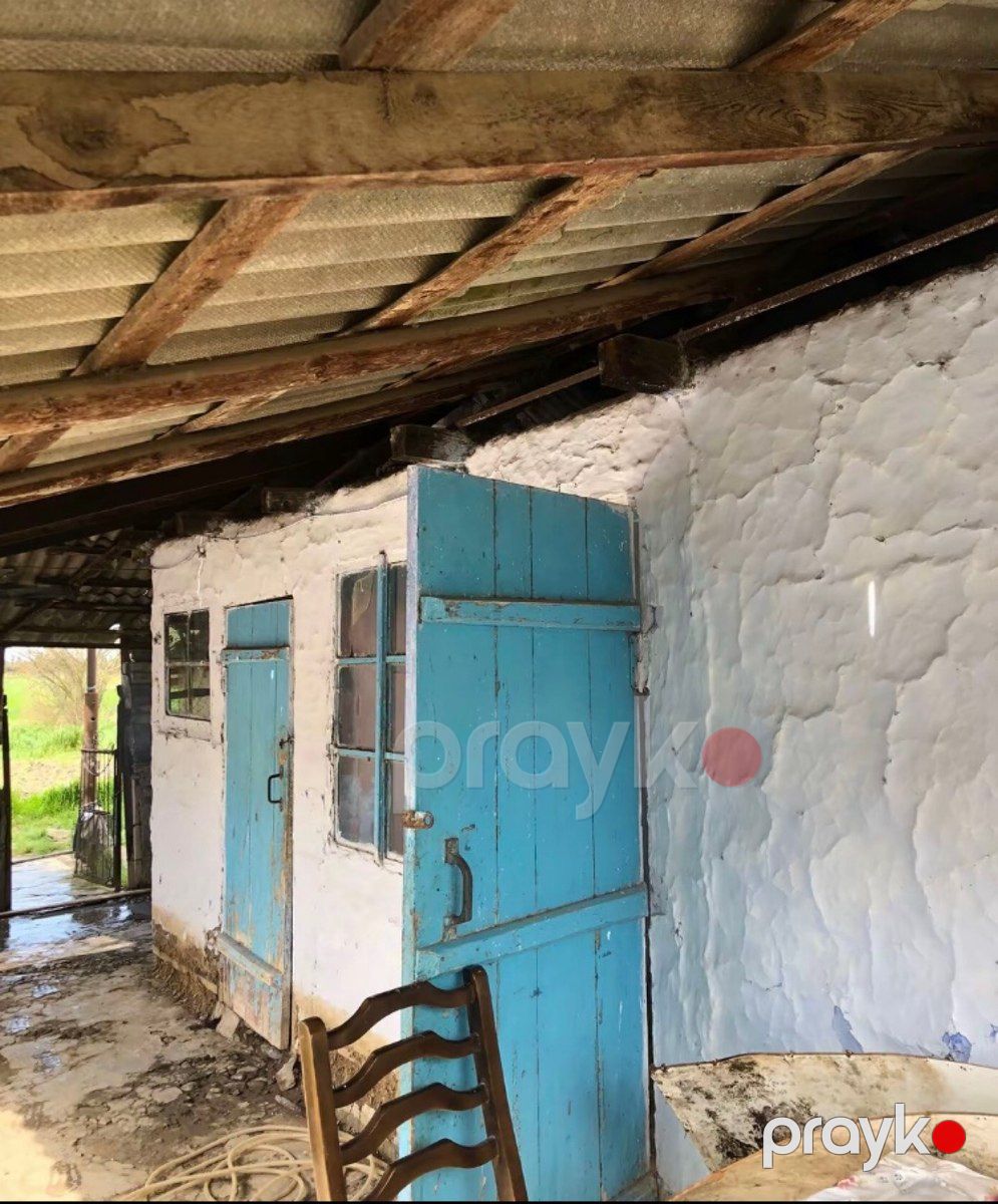 Həyət evi, Cəlilabad r — Ev, villa, Cəlilabad (12)