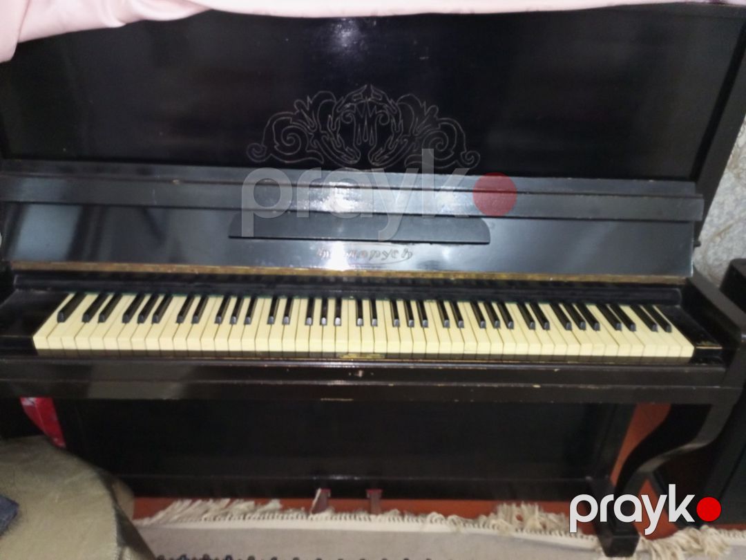 Piano Belarus — Musiqiə alətləri, Salyan (3)