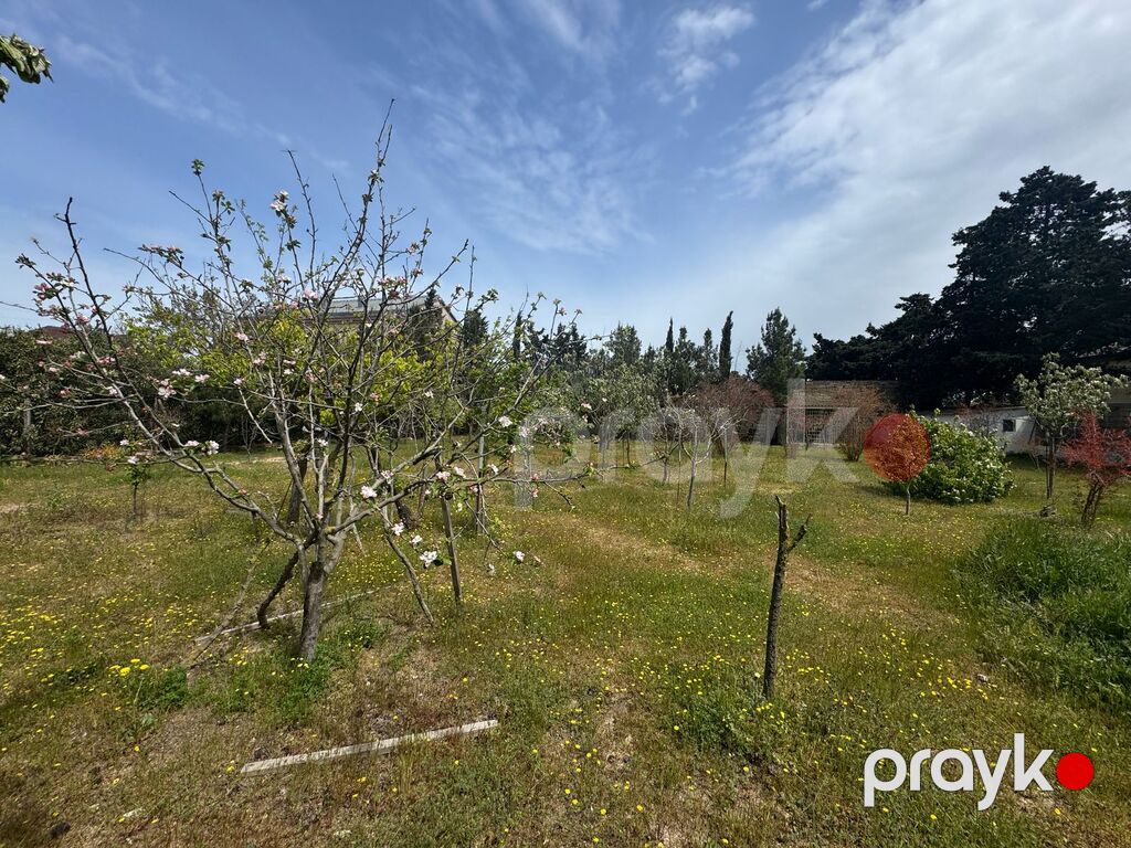 Satılır torpaq 23 sot — Torpaq, Bakı (3)