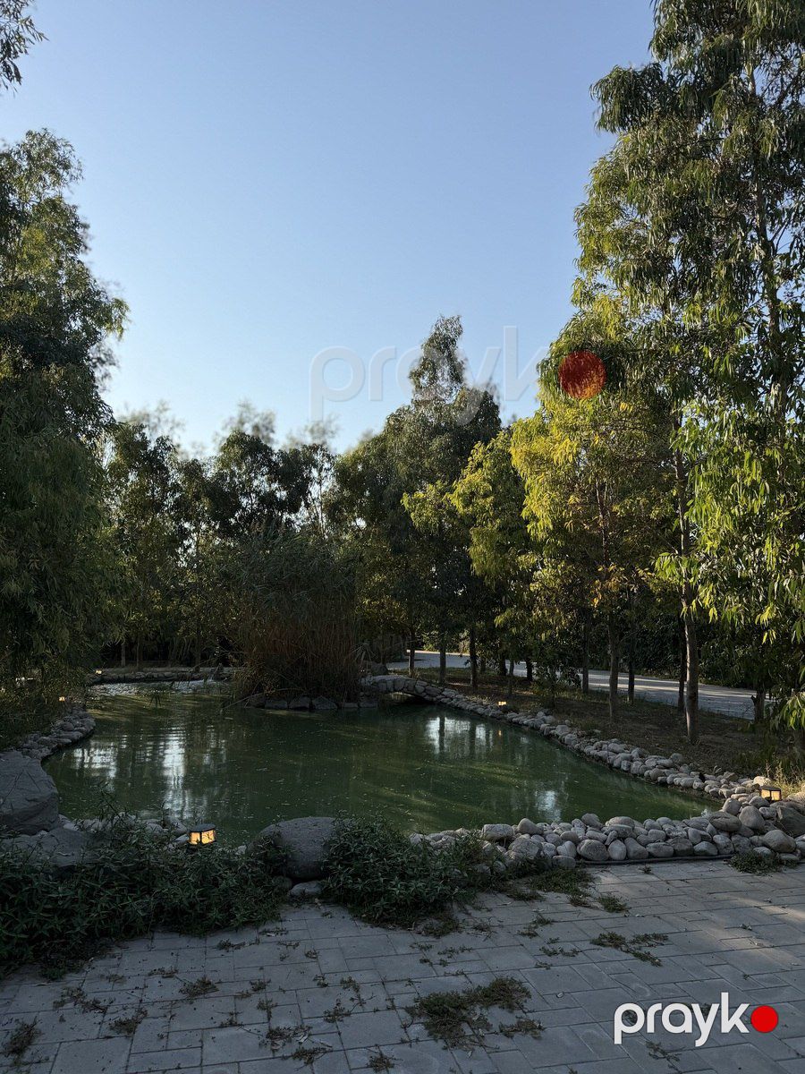 Satılır 10 otaqlı həyət evi/bağ evi 800 m² — Ev, villa, Bakı (12)
