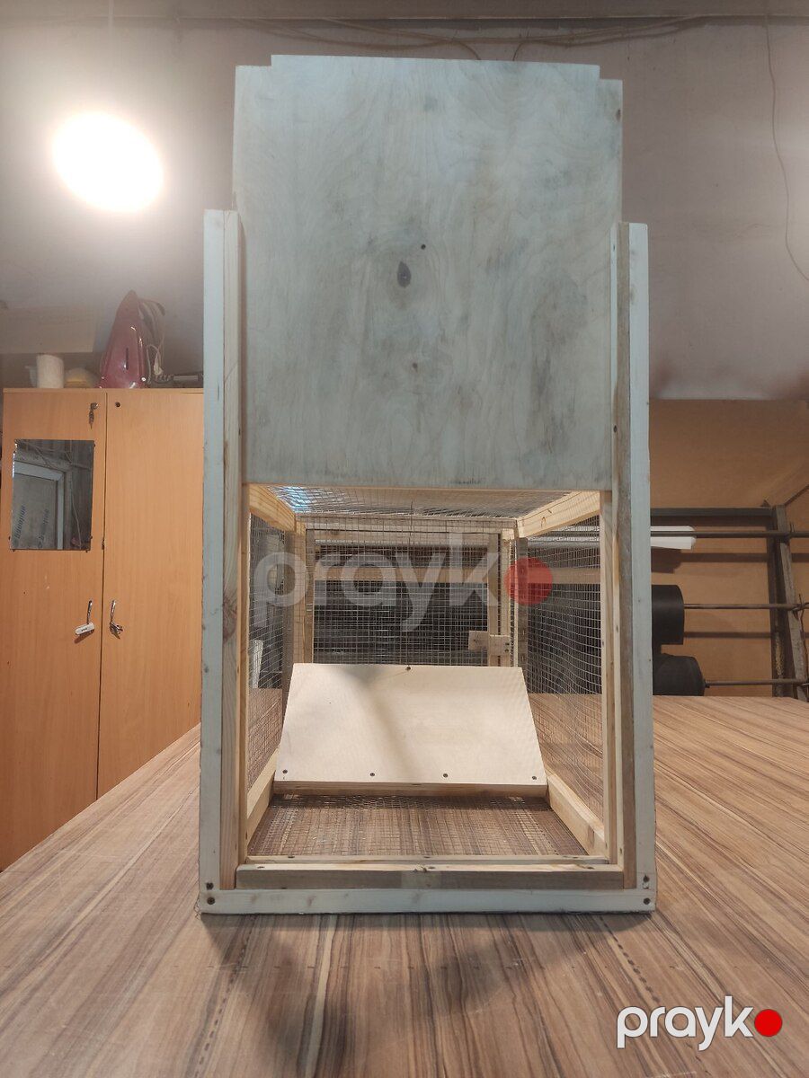 Tülkü tələsi — Dacha və bağ, Bakı (4)