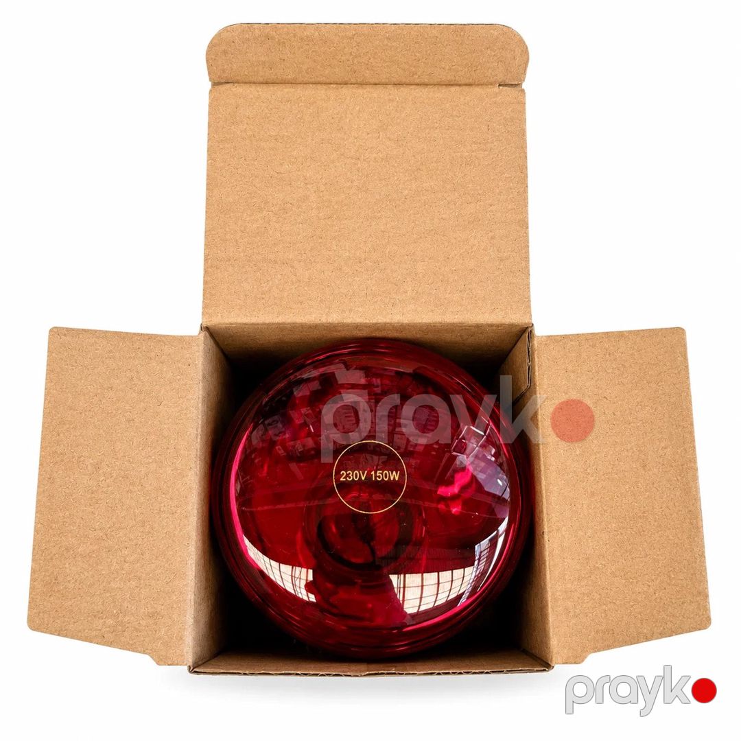 İnfraqırmızı Lampa 100W İlməzli R80 — İşıqlandırma, Bakı (5)