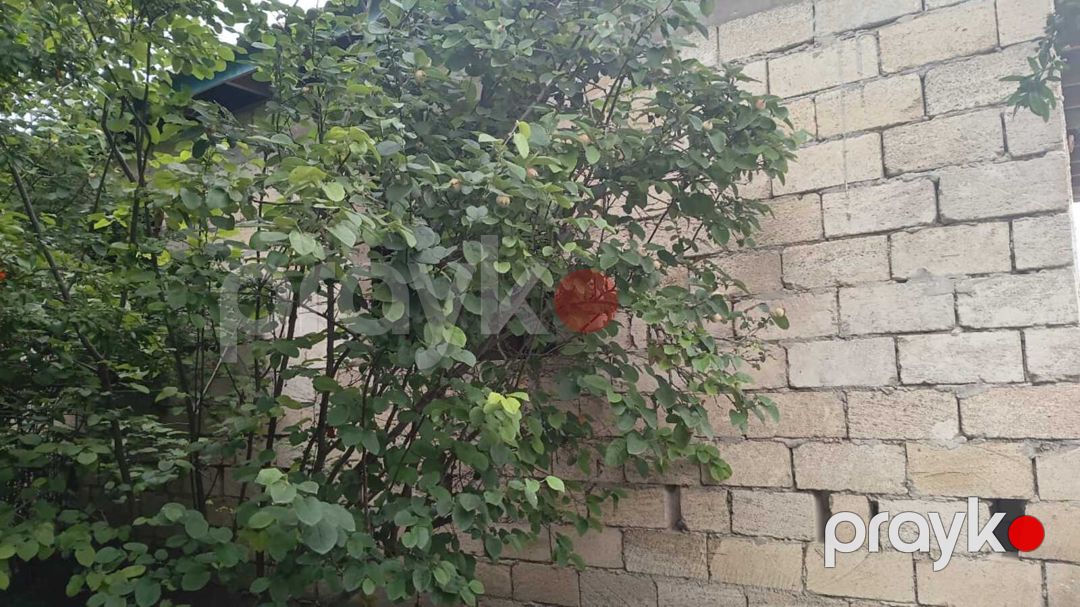 Həyət evi, Neftçala r — Ev, villa, Neftçala (6)