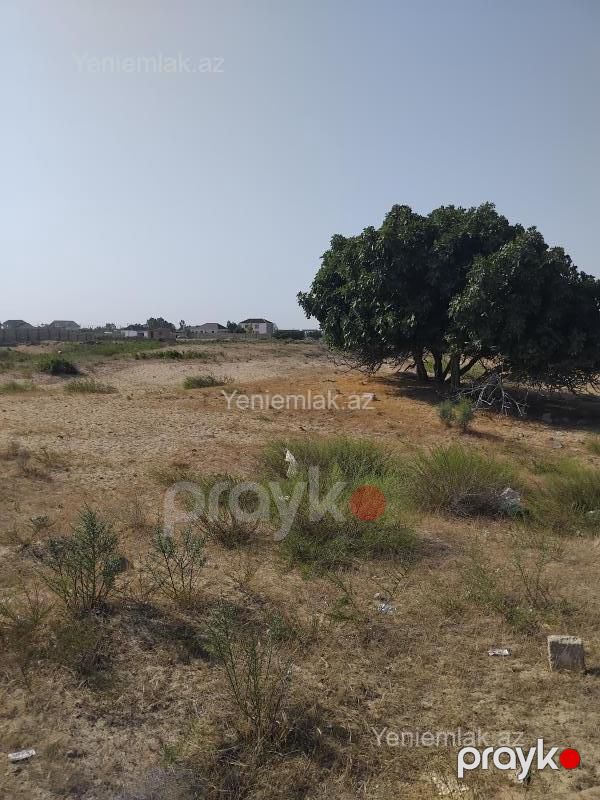 Satılır Torpaq sahəsi, 60 sot, Xəzər rayonu — Torpaq, Bakı (5)