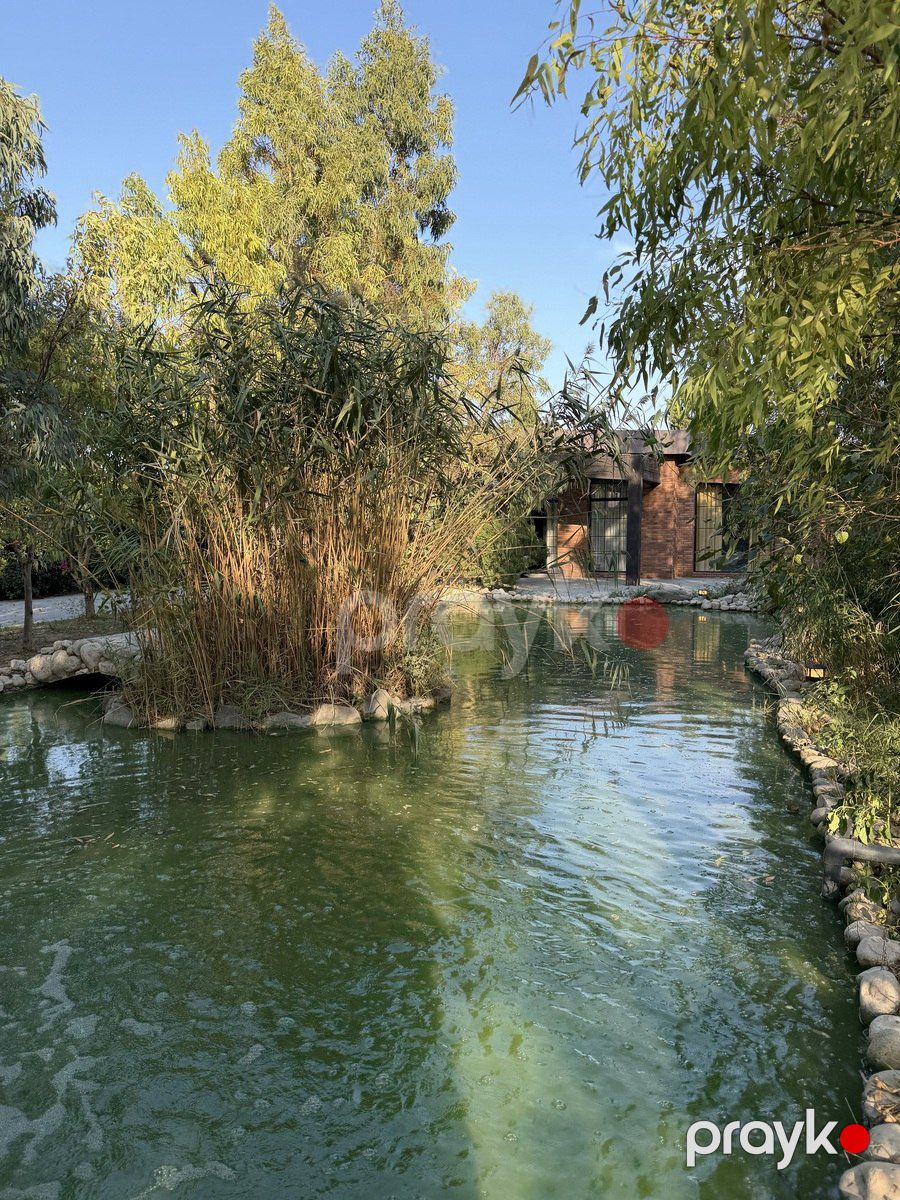 Satılır 10 otaqlı həyət evi/bağ evi 800 m² — Ev, villa, Bakı (10)