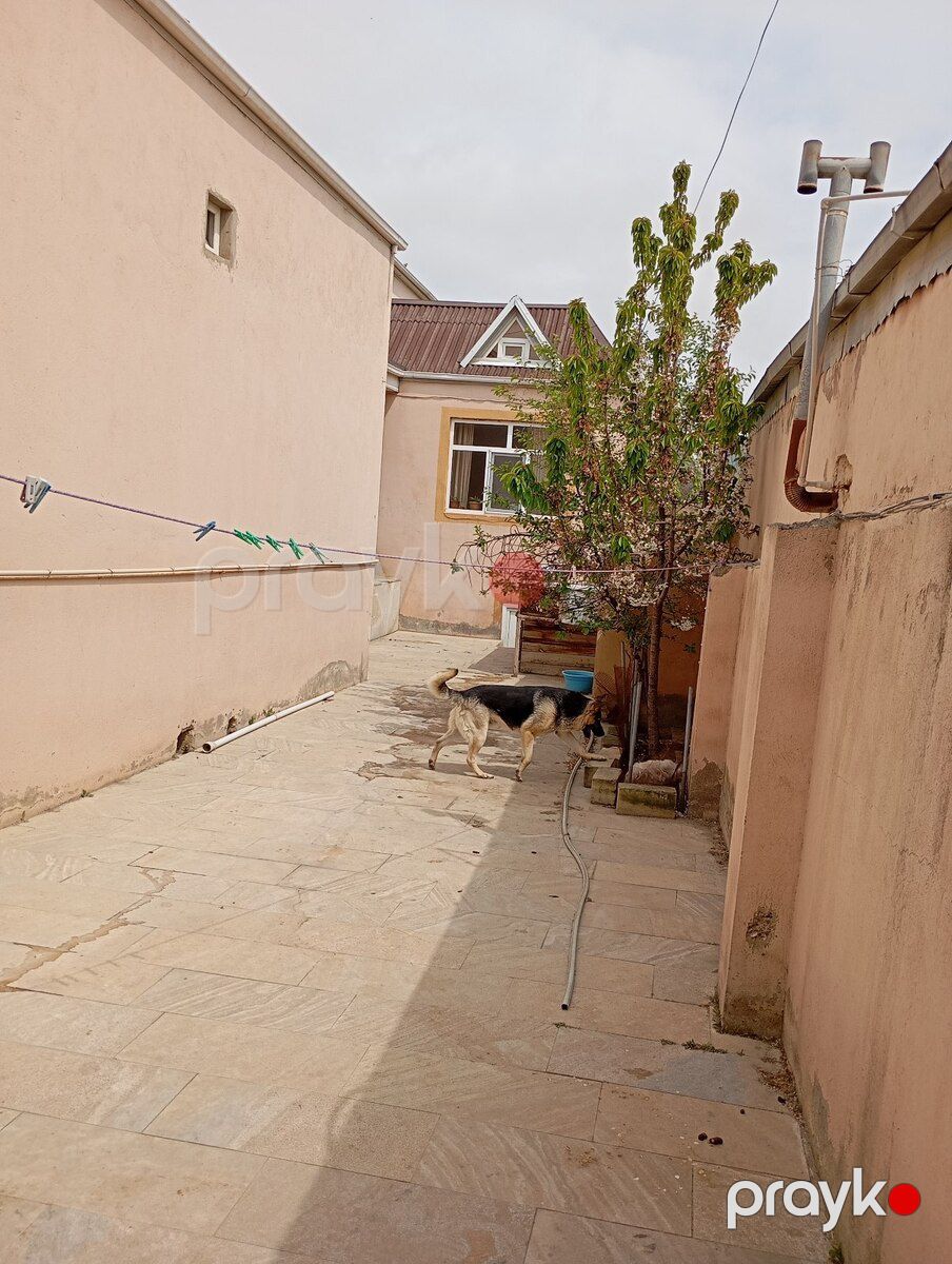 Həyət evi, Binəqədi r — Ev, villa, Bakı (6)