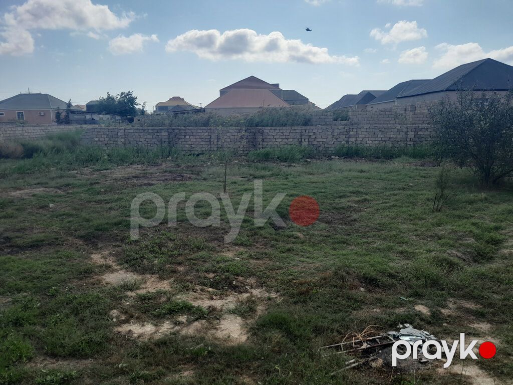 Sabunçu Rayonu ramana südçülük savxozunda əsas yoldan 20 metr kənarda — Torpaq, Bakı (3)