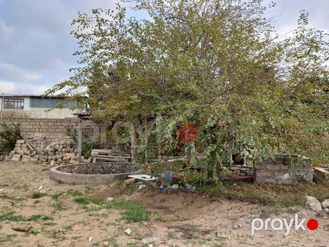Satılır torpaq 3 sot — Torpaq, Bakı (2)