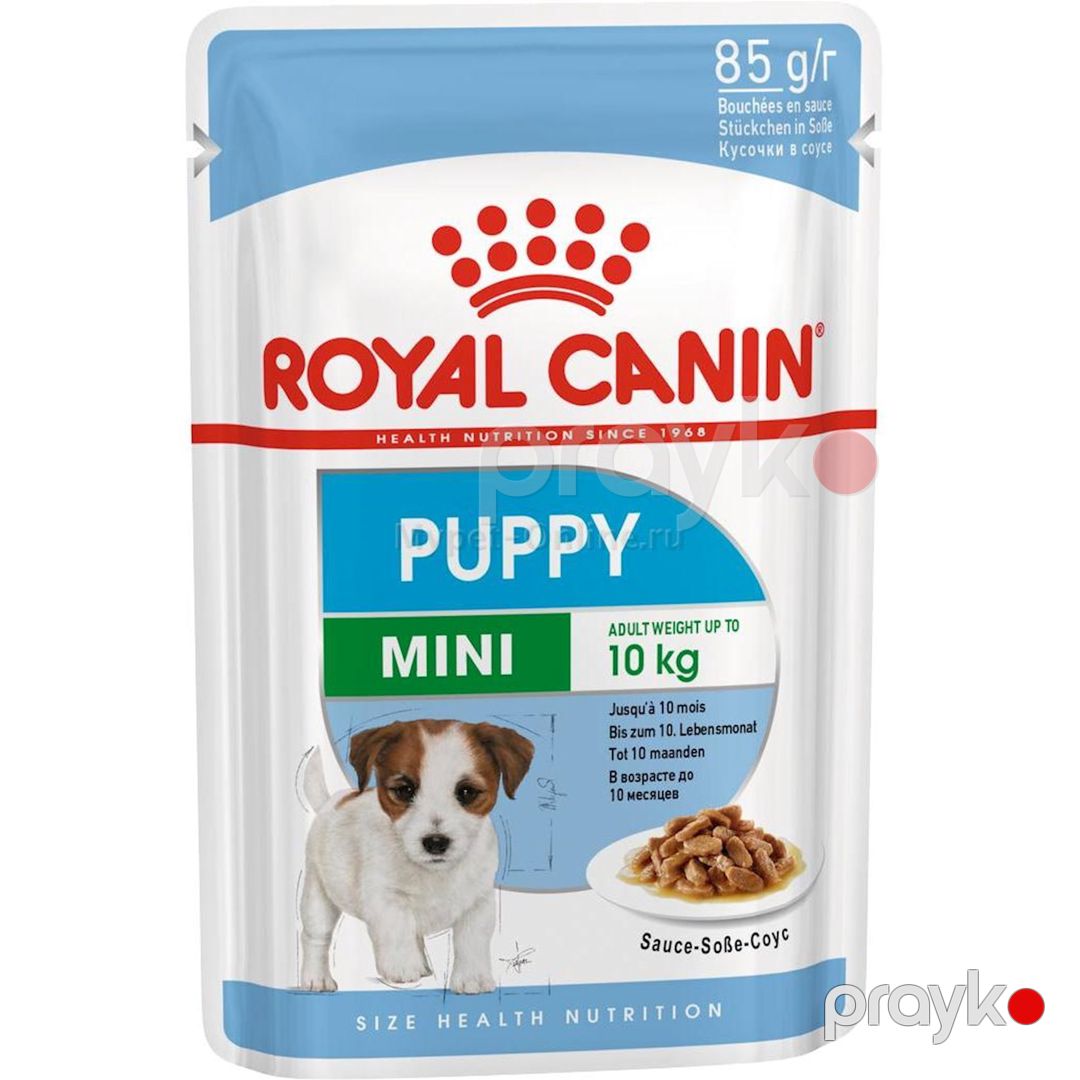 Nəm yem Royal Canin Mini Puppy 2 aydan 10 aya qədər köpəklər üçün 85 q — Mallar, Bakı